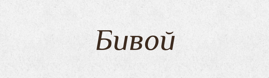 Бивой — Рідні імена. Слов'янський іменослов