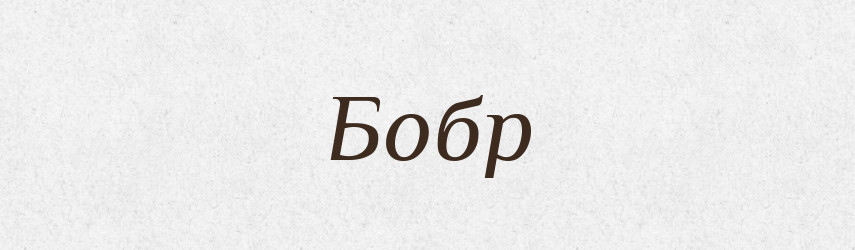 Бобр — Рідні імена. Слов'янський іменослов