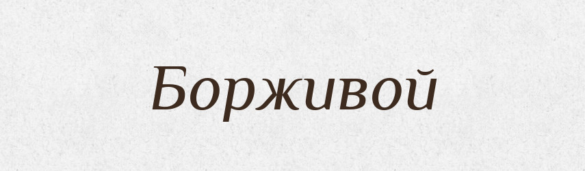 Борживой — Рідні імена. Слов'янський іменослов