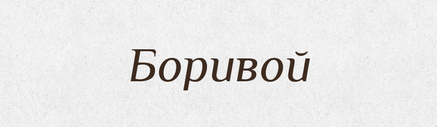 Боривой — Рідні імена. Слов'янський іменослов