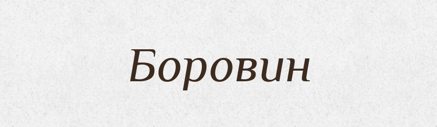 Боровин — Рідні імена. Слов'янський іменослов