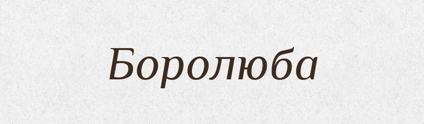 Боролюба — Рідні імена. Слов'янський іменослов
