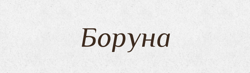 Боруна — Рідні імена. Слов'янський іменослов