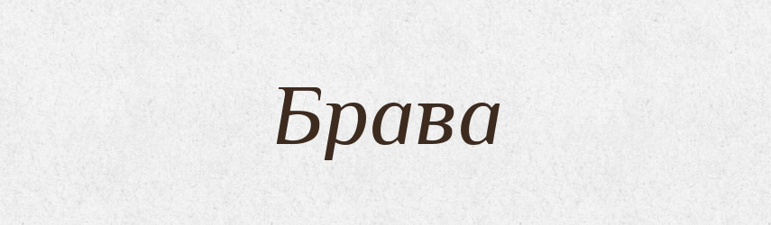 Брава — Рідні імена. Слов'янський іменослов
