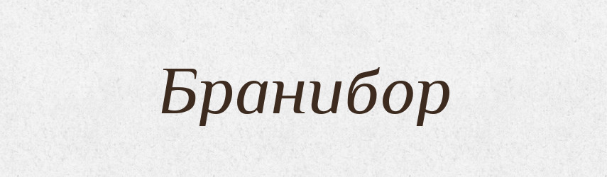 Бранибор — Рідні імена. Слов'янський іменослов