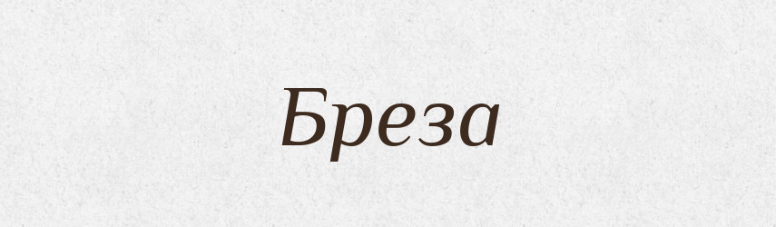 Бреза — Рідні імена. Слов'янський іменослов