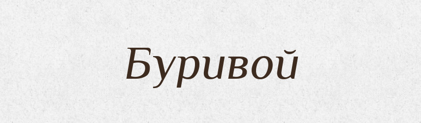 Буривой — Рідні імена. Слов'янський іменослов