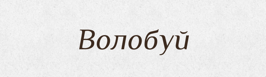 Волобуй — Рідні імена. Слов'янський іменослов