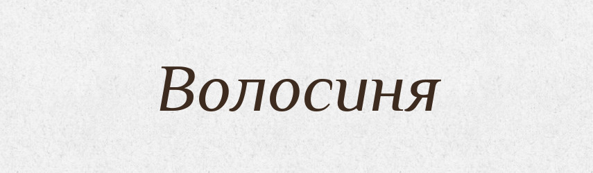 Волосиня — Рідні імена. Слов'янський іменослов