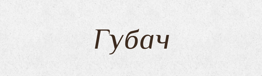 Губач — Рідні імена. Слов'янський іменослов