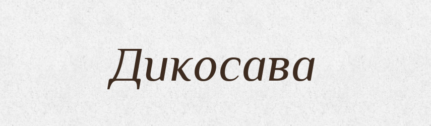 Дикосава — Рідні імена. Слов'янський іменослов