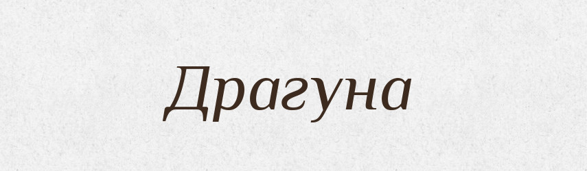 Драгуна — Рідні імена. Слов'янський іменослов
