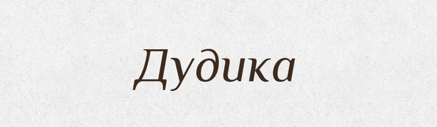 Дудика — Рідні імена. Слов'янський іменослов