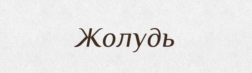 Жолудь — Рідні імена. Слов'янський іменослов