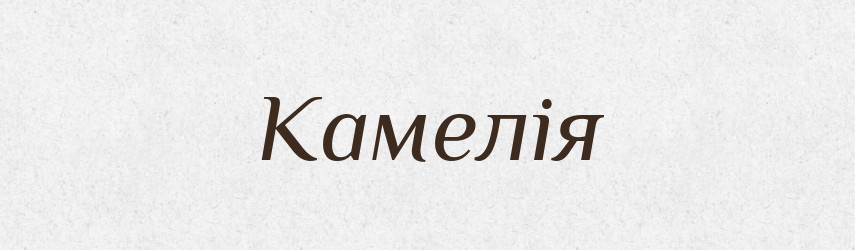 Камелія — Рідні імена. Слов'янський іменослов