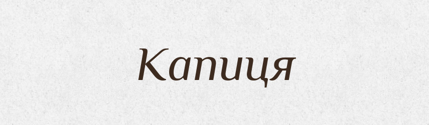 Капиця — Рідні імена. Слов'янський іменослов