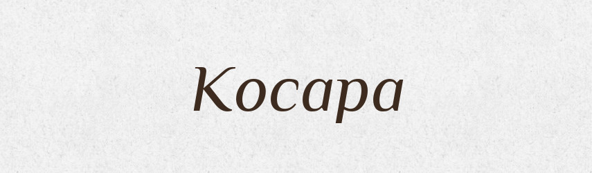Косара — Рідні імена. Слов'янський іменослов