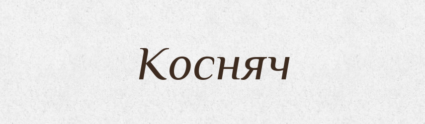 Косняч — Рідні імена. Слов'янський іменослов