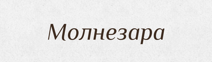Молнезара — Рідні імена. Слов'янський іменослов