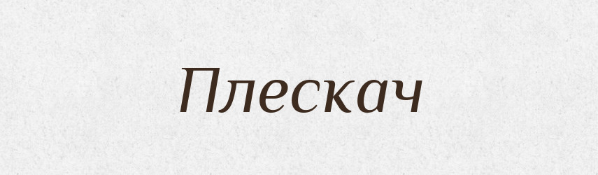 Плескач — Рідні імена. Слов'янський іменослов