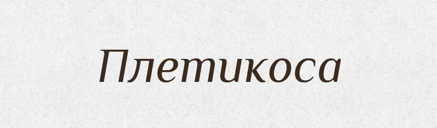 Плетикоса — Рідні імена. Слов'янський іменослов