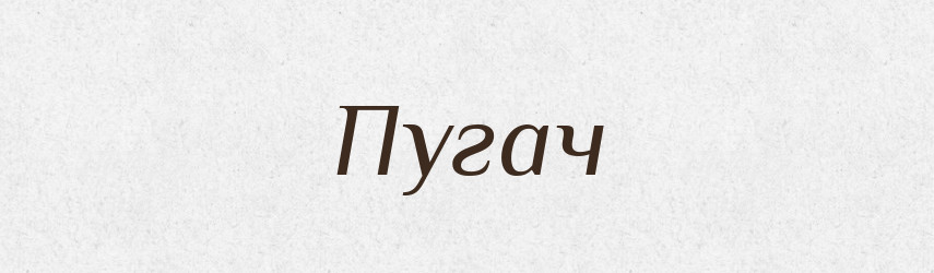 Пугач — Рідні імена. Слов'янський іменослов