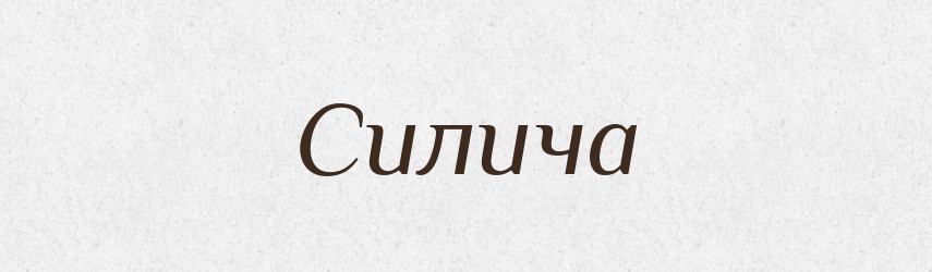 Силича — Рідні імена. Слов'янський іменослов