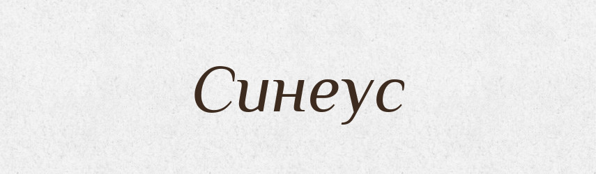 Синеус — Рідні імена. Слов'янський іменослов