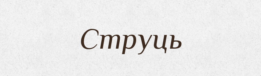Струць — Рідні імена. Слов'янський іменослов