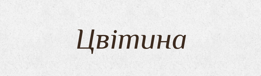 Цвітина — Рідні імена. Слов'янський іменослов