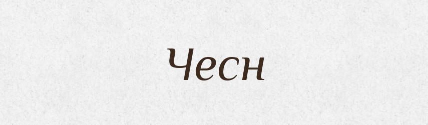 Чесн — Рідні імена. Слов'янський іменослов