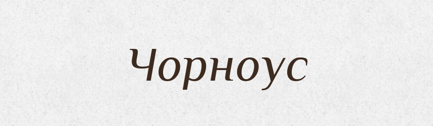 Чорноус — Рідні імена. Слов'янський іменослов