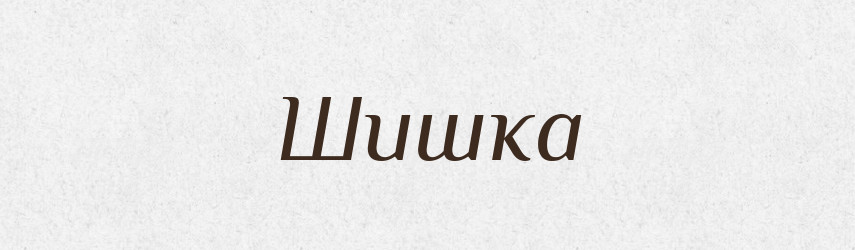 Шишка — Рідні імена. Слов'янський іменослов