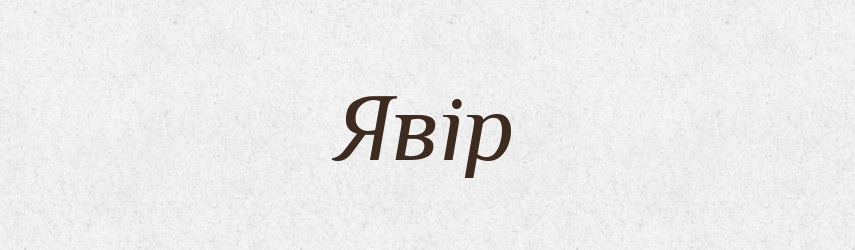 Явір — Рідні імена. Слов'янський іменослов